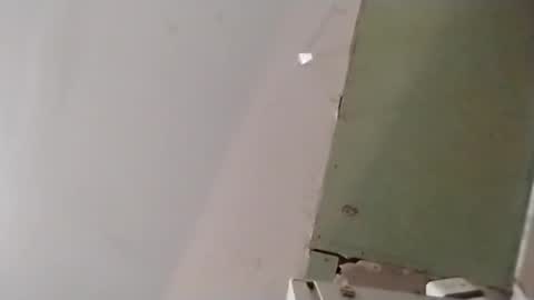 Oval2022 online show from April 2026 12:22:01 PM