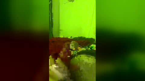 straight208 online show from May 2026 09:36:02 AM