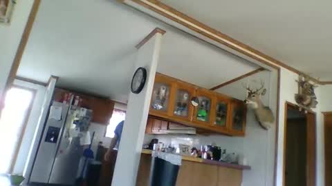 strokenmycock78 online show from March 2026 08:08:02 PM