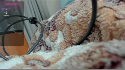 stupid little kitten online show from January 2025 12:15:02 PM