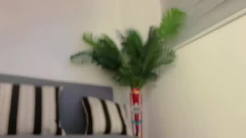 Snapshot of sugarhoneysw8 chatting on February 2025 07:29:01 AM Jess online show from February 2025 07:29:01 AM