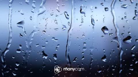 Snapshot of sunnybigboy88 chatting on February 2026 08:18:02 AM sven online show from February 2026 08:18:02 AM