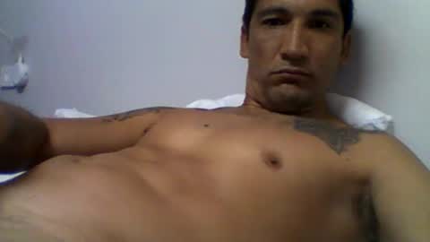 PAPI online show from July 2026 02:41:02 PM