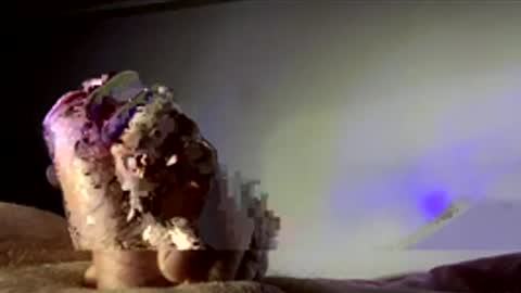 surgenz73 online show from January 2026 02:37:02 AM