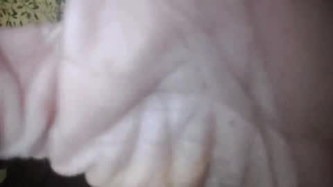 suzuki1250 online show from April 2026 07:27:01 AM