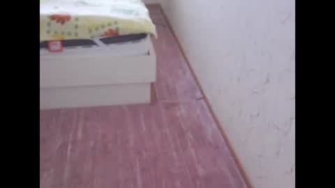 sv27 online show from February 2025 11:17:02 AM