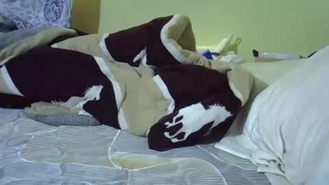 Bellah online show from February 2026 10:26:02 AM