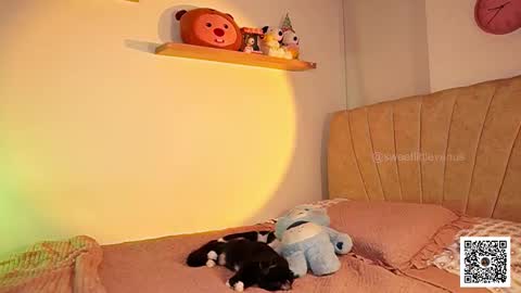 Venus online show from March 2026 07:17:01 PM