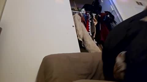 sweetp3ach29 online show from December 2024 06:53:02 AM