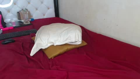 Snapshot of sweetslyvie chatting on July 2026 12:19:02 PM sweetslyvie online show from July 2026 12:19:02 PM