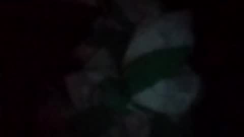 swollpole2112 online show from May 2026 06:54:02 AM