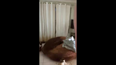 tab7exp online show from March 2026 01:21:02 AM