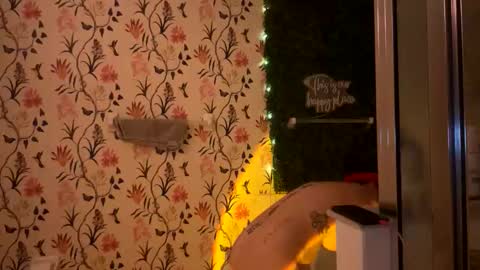 taebaeebe online show from January 2026 11:54:01 PM