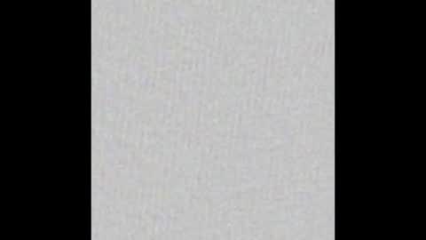 Aligator online show from January 2025 03:28:02 PM