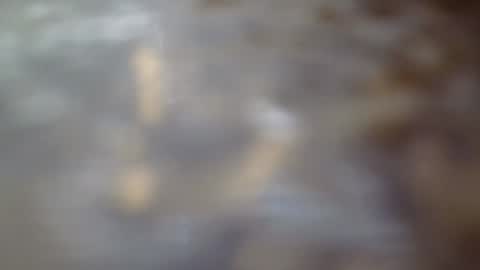 Talldark225 online show from February 2026 03:41:02 PM