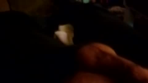 The Man of Steel online show from October 2025 10:43:02 AM