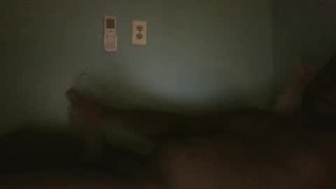 tempuser2025 online show from May 2026 05:47:01 AM