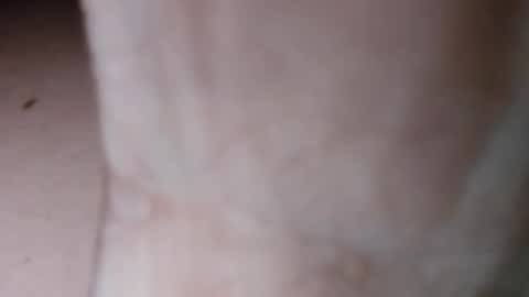 teslaxplaid online show from December 2024 02:56:02 AM