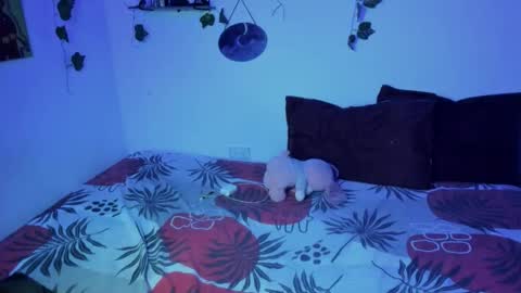 Ariamapola88 online show from November 2025 01:44:01 AM