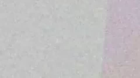 fuzzyfox online show from April 2026 12:08:02 AM