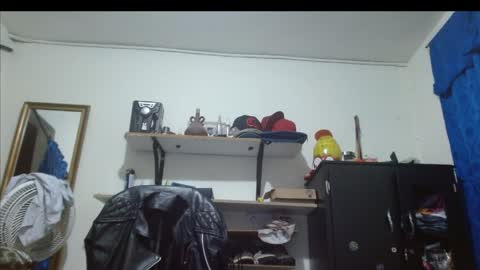 Snapshot of thehousedog chatting on May 2026 08:37:01 PM thehousedog online show from May 2026 08:37:01 PM