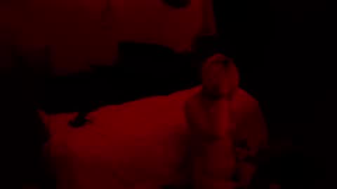 thehungmantis online show from October 2025 02:22:02 AM