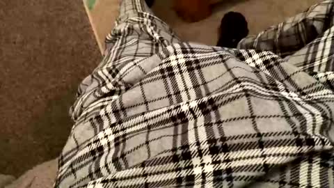 Snapshot of therealpietro77 chatting on February 2026 08:57:02 PM therealpietro77 online show from February 2026 08:57:02 PM