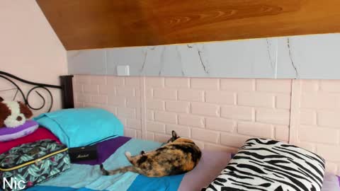 Nicole online show from March 2026 02:45:01 PM