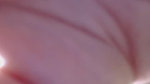 Snapshot of thickwhiteload chatting on May 2026 06:05:02 PM thickwhiteload online show from May 2026 06:05:02 PM