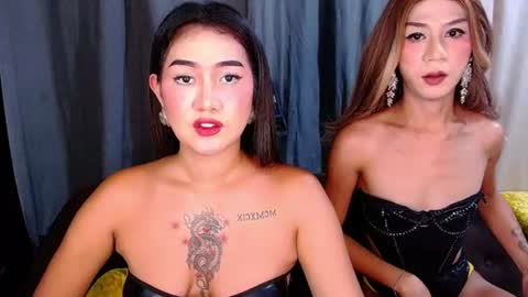 tiarrafoxs online show from July 2026 12:08:02 PM
