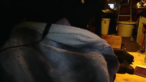 Snapshot of tinkertrain420 chatting on December 2024 09:56:01 AM tinkertrain420 online show from December 2024 09:56:01 AM