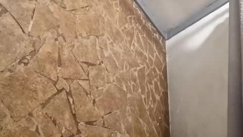 Snapshot of tinman2206 chatting on December 2025 11:05:01 AM tinman2206 online show from December 2025 11:05:01 AM