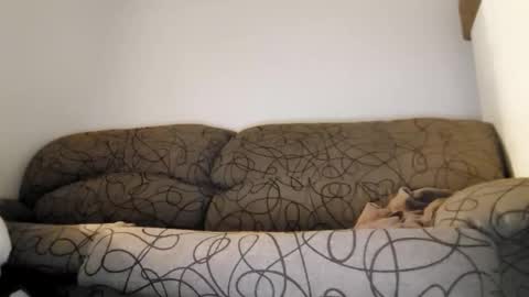 ToffBuck online show from February 2026 04:49:02 AM