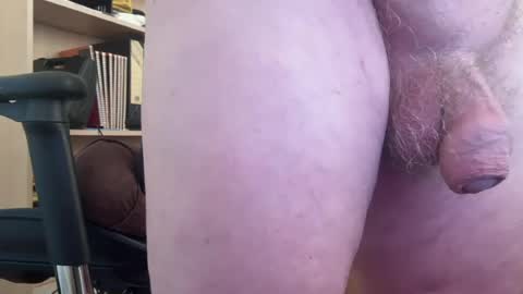 Togbear online show from July 2026 07:59:01 AM