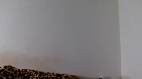 Snapshot of tommyandtomara chatting on June 2026 11:07:01 PM tommyandtomara online show from June 2026 11:07:01 PM
