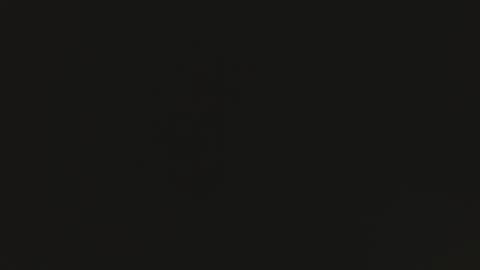 tomylela online show from December 2025 07:46:02 AM