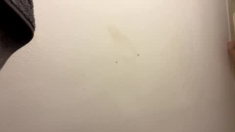 toronto5656 online show from January 2025 06:46:02 AM