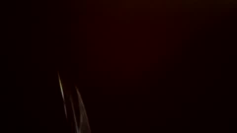 toronto5656 online show from February 2025 11:54:01 AM