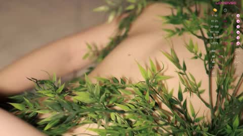 Toshi online show from October 2025 01:00:02 PM