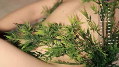 Toshi online show from March 2026 01:06:01 PM