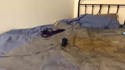 Snapshot of toxic2lust chatting on March 2026 06:58:01 PM toxic2lust online show from March 2026 06:58:01 PM