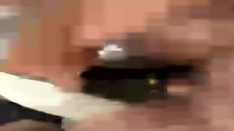Travismiller online show from July 2026 09:33:01 PM