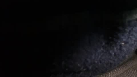 trobelle online show from December 2024 02:49:01 PM