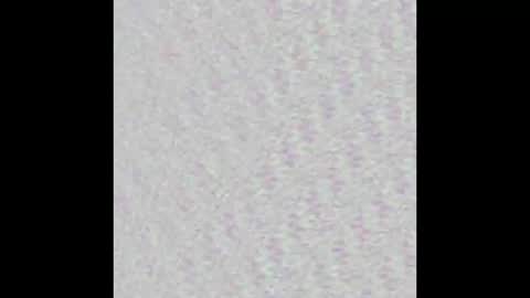 Snapshot of tropicalmadness chatting on September 2025 02:00:02 PM Archie Torres online show from September 2025 02:00:02 PM