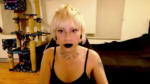 Cait online show from October 2025 04:12:01 AM