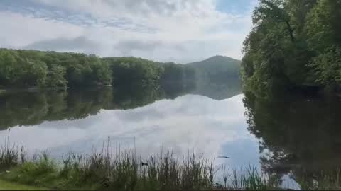 Snapshot of trystoph chatting on February 2026 01:56:02 PM Treistoph online show from February 2026 01:56:02 PM