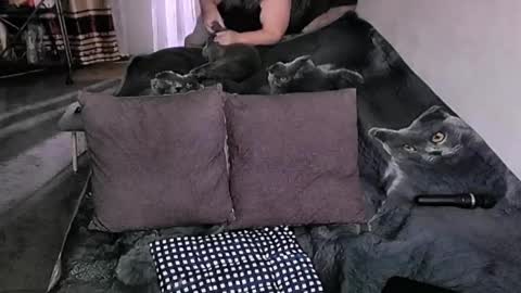 Lana online show from March 2026 11:41:02 PM