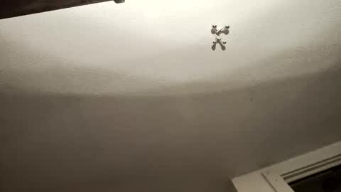 uncut_widda_bigbutt online show from February 2025 04:14:02 AM