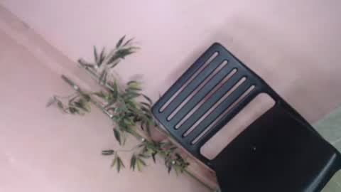 unknown_trans18 online show from April 2026 11:24:01 PM