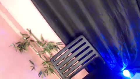 unknown_trans18 online show from April 2026 11:49:01 AM